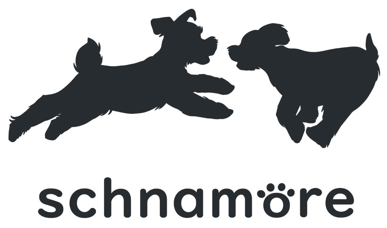 一般社団法人シュナモア